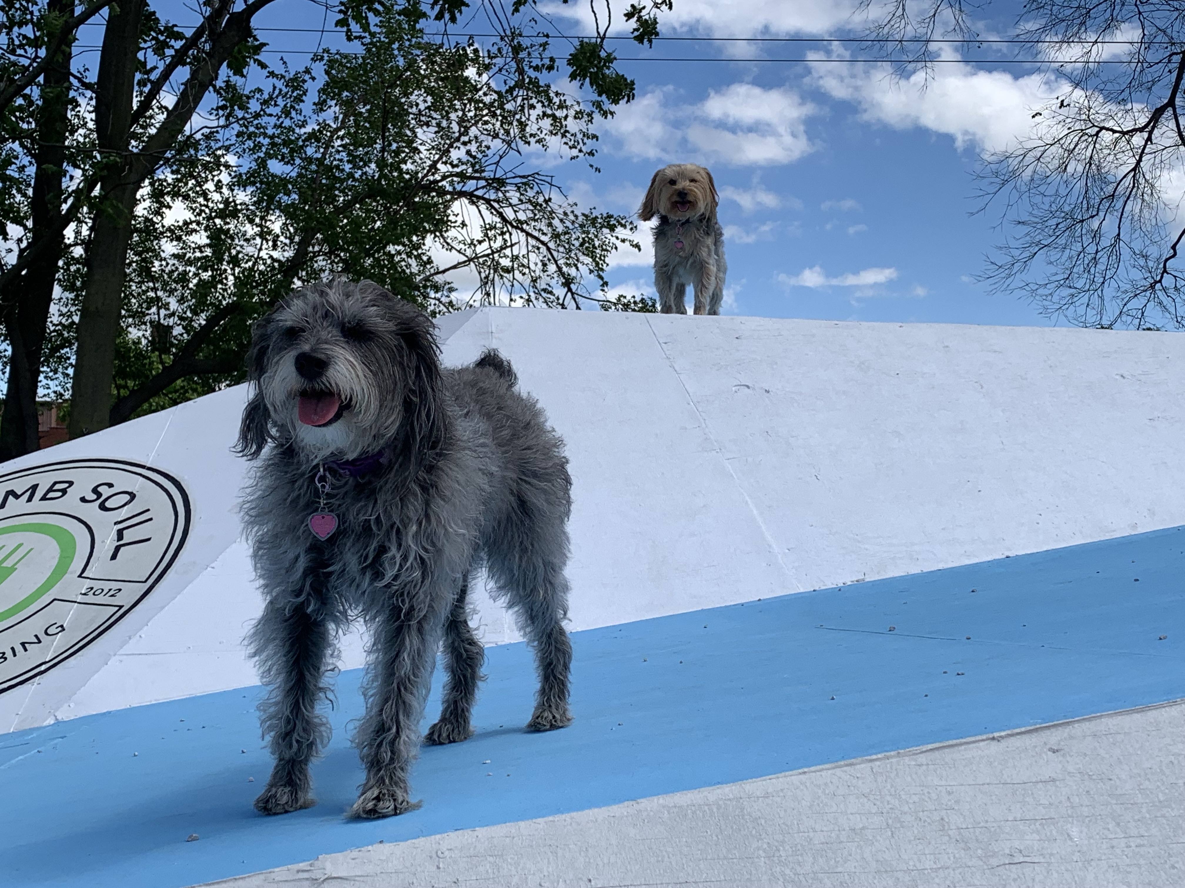 ./2022/06 - St Louis/06 - Day 6/20220526-105758629.JPG